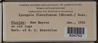 Image Associated With the Occurence